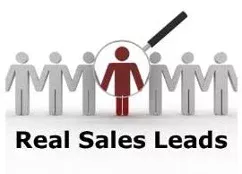 Small-Business-Sales-Lead